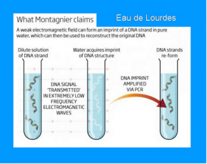 luc-montagnier-memoire-de-leau-lourdes