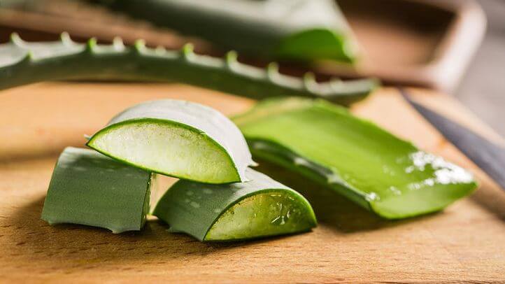 Read more about the article Aloe vera