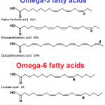 Omega-3 perusteita