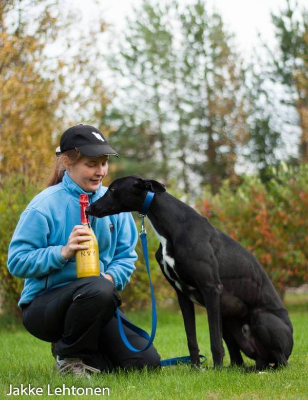 Read more about the article Yksinkertaisemman koiranpidon jäljillä