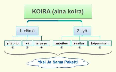 Read more about the article Agility ja koiran ruokinta